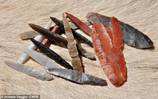 أدوات حجرية عمرها 8000 عام تم العثور عليها في شبه الجزيرة العربية - سياسة - أصناف عالمية