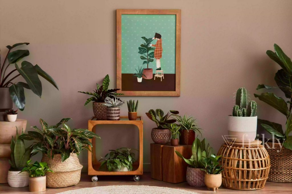 Cheap home decoration using indoor plant